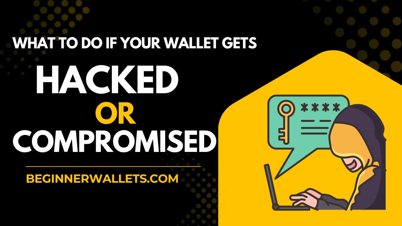 Guide on what to do if your crypto wallet hacked or compromised