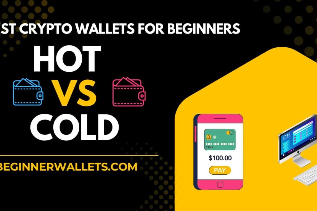 Comparison guide on the best crypto wallets for beginners: Hot vs Cold wallets