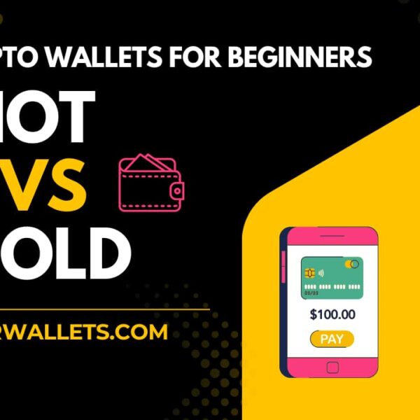 Comparison guide on the best crypto wallets for beginners: Hot vs Cold wallets