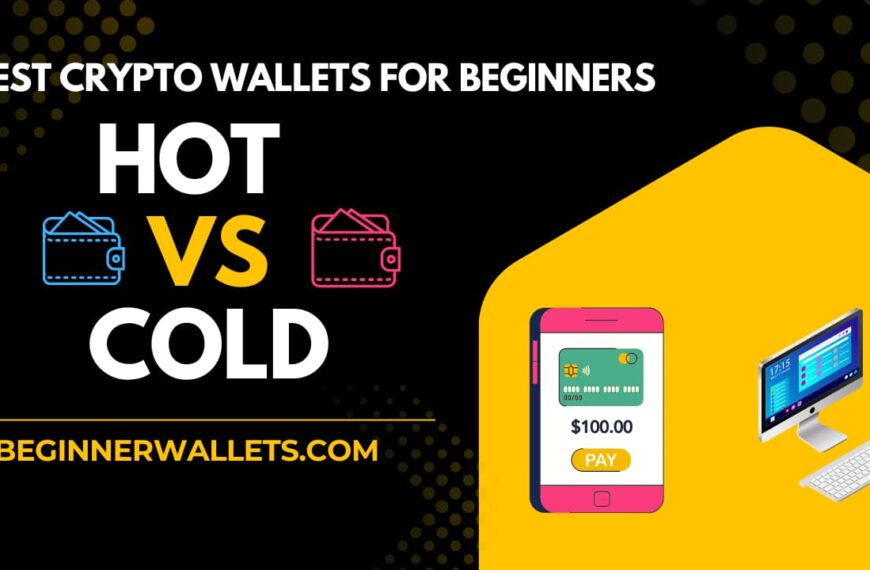 Comparison guide on the best crypto wallets for beginners: Hot vs Cold wallets