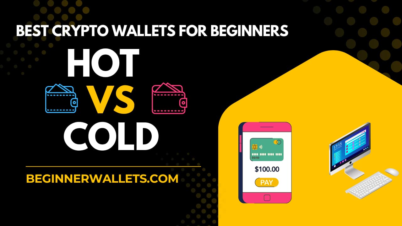 Comparison guide on the best crypto wallets for beginners: Hot vs Cold wallets