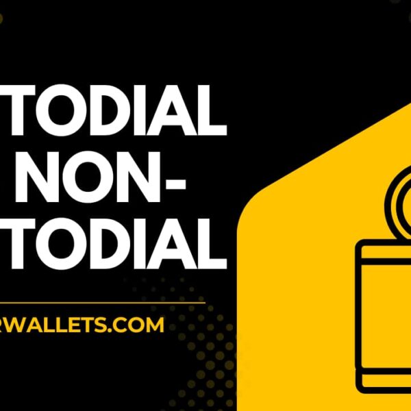 Custodial vs Non-Custodial Wallet comparison graphic with a digital wallet icon by BeginnerWallets